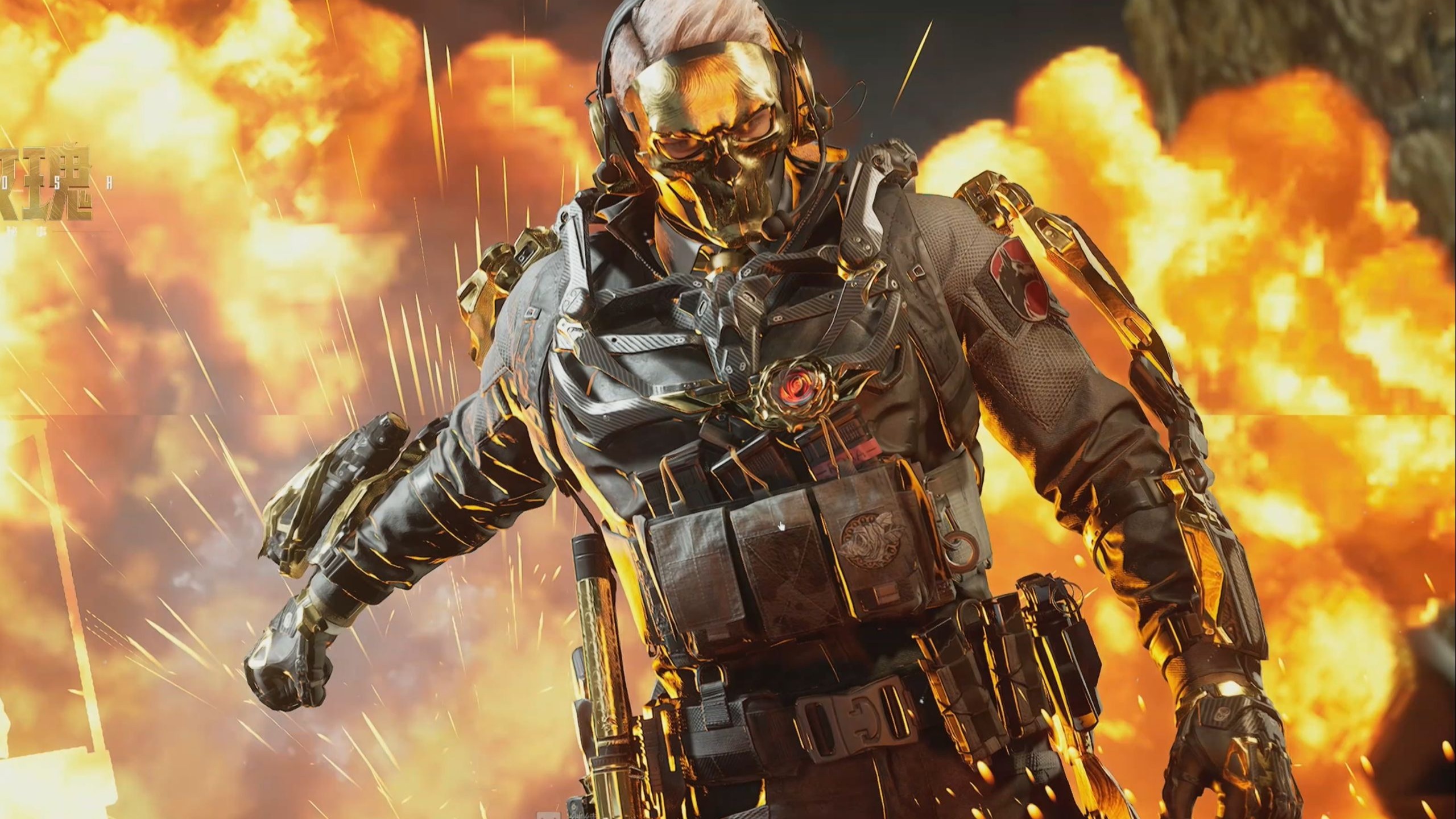 饰和黄蜂毒 饰和黄蜂毒